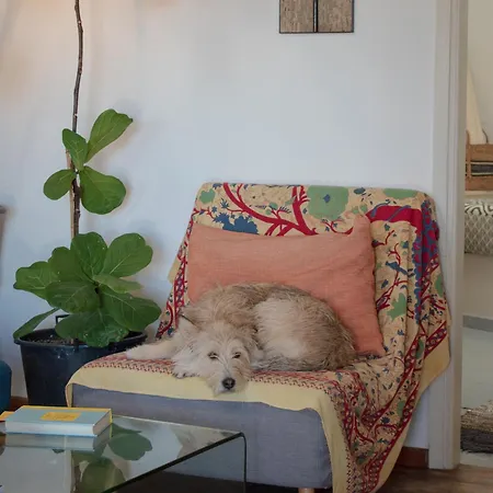 Ataraxia Aroniadhiánika